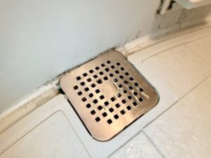排水口の汚れが気になる